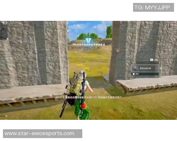 esports数据从零开始掌握和平精英技巧与策略全解析助你成为游戏高手